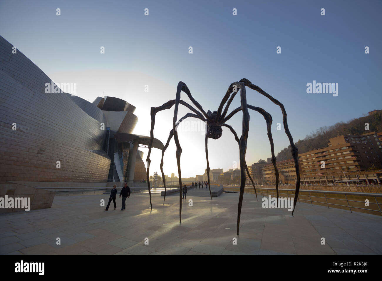 Spagna, Paesi Baschi, Bilbao, Museo Guggenheim, architetto Frank O. Gehry, pezzo d'arte, spider 'Maman', Foto Stock