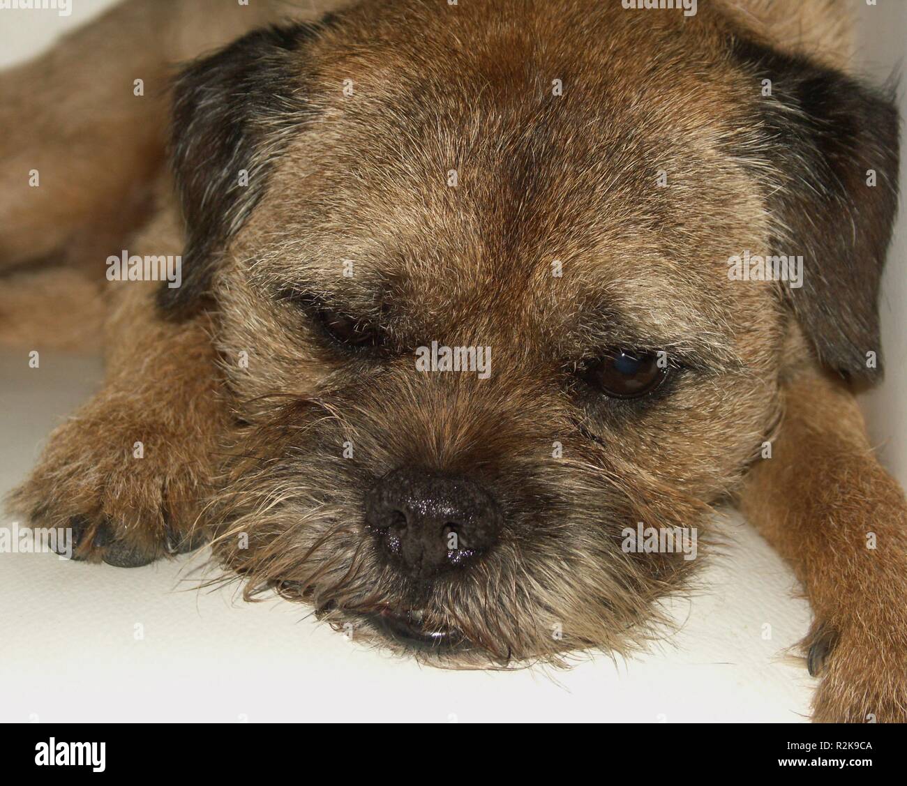 Lasciami dormire Foto Stock