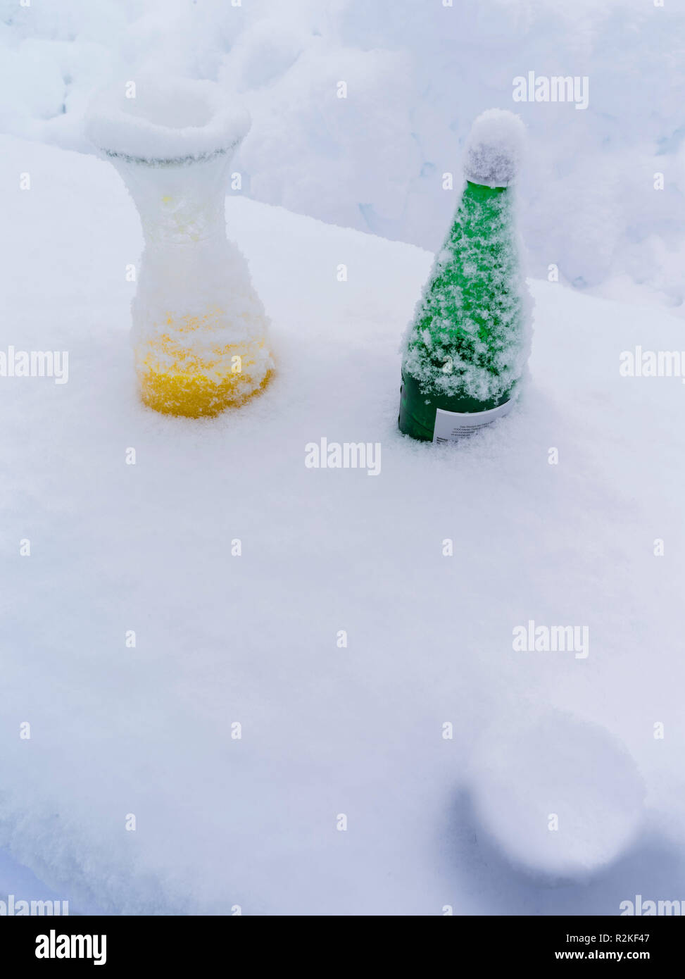 Bere rimane nella neve dopo una festa in inverno Foto Stock