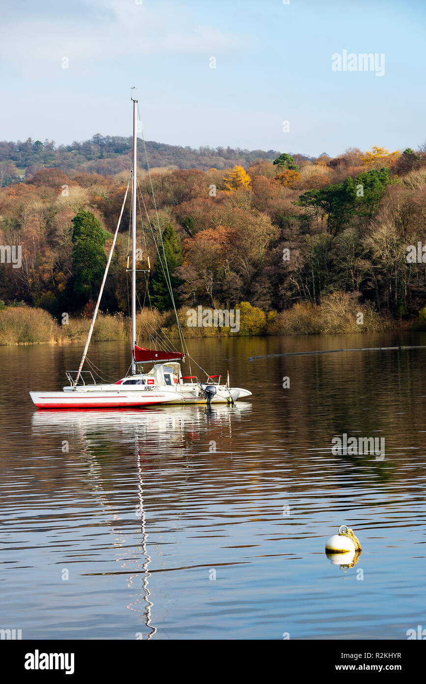 Un catamarano ormeggiato sul Lago di Windermere vicino a Bowness con bellissimi colori autunnali Parco Nazionale del Distretto dei Laghi Cumbria Inghilterra England Regno Unito Regno Unito Foto Stock