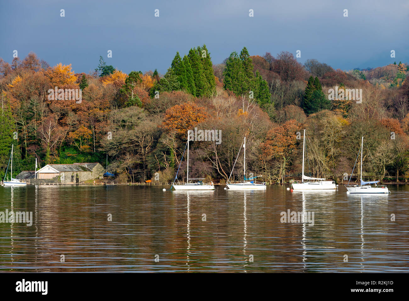 Yacht ormeggiati sul lago di Windermere vicino a Bowness con bellissimi colori autunnali Parco Nazionale del Distretto dei Laghi Cumbria Inghilterra England Regno Unito Regno Unito Foto Stock