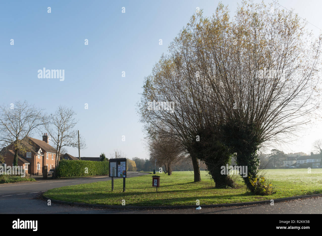 Il villaggio verde in Wood Street Village nel Surrey, Regno Unito Foto Stock