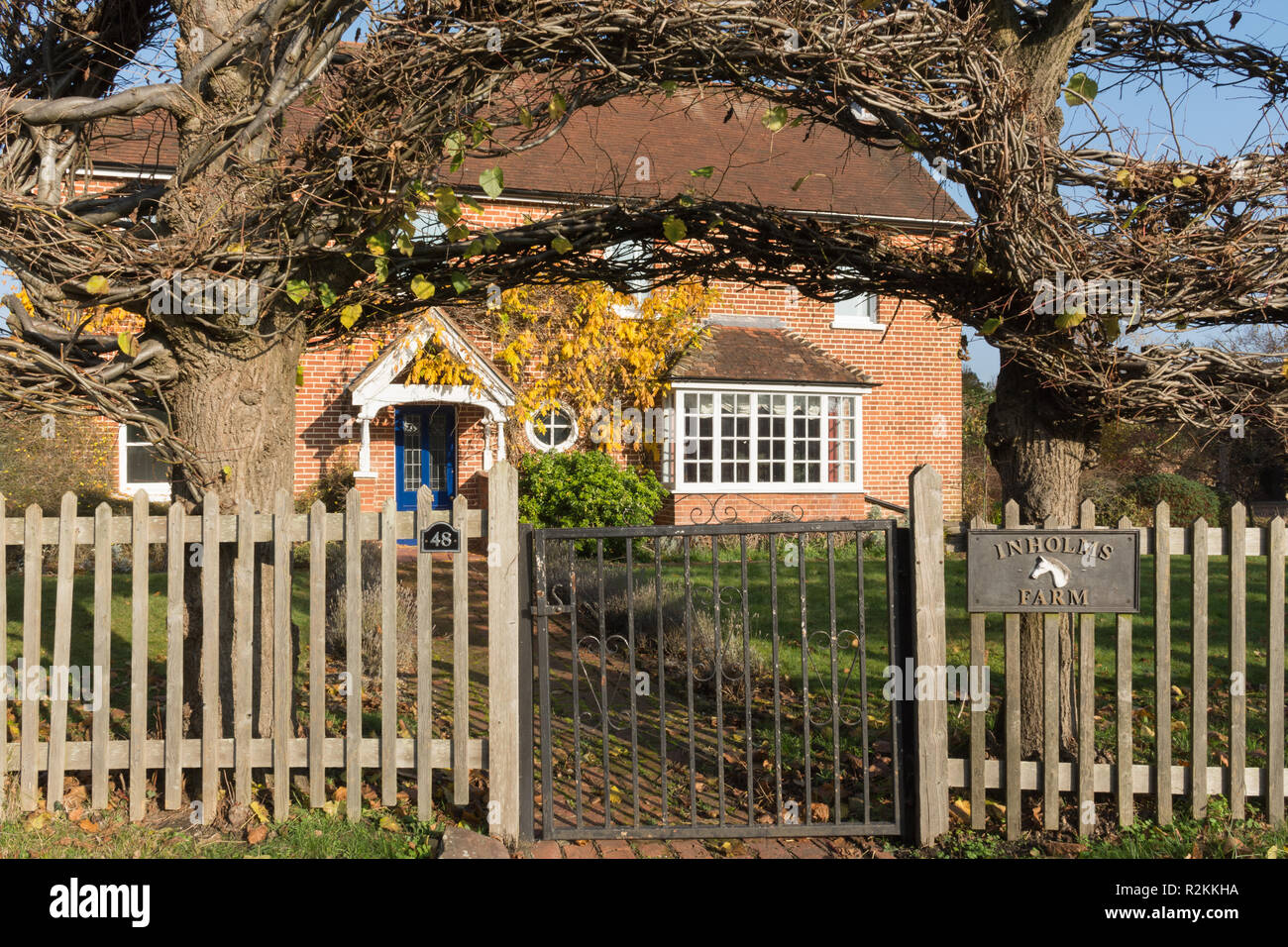 Casa con pollarded alberi in Wood Street Village nel Surrey, Regno Unito Foto Stock