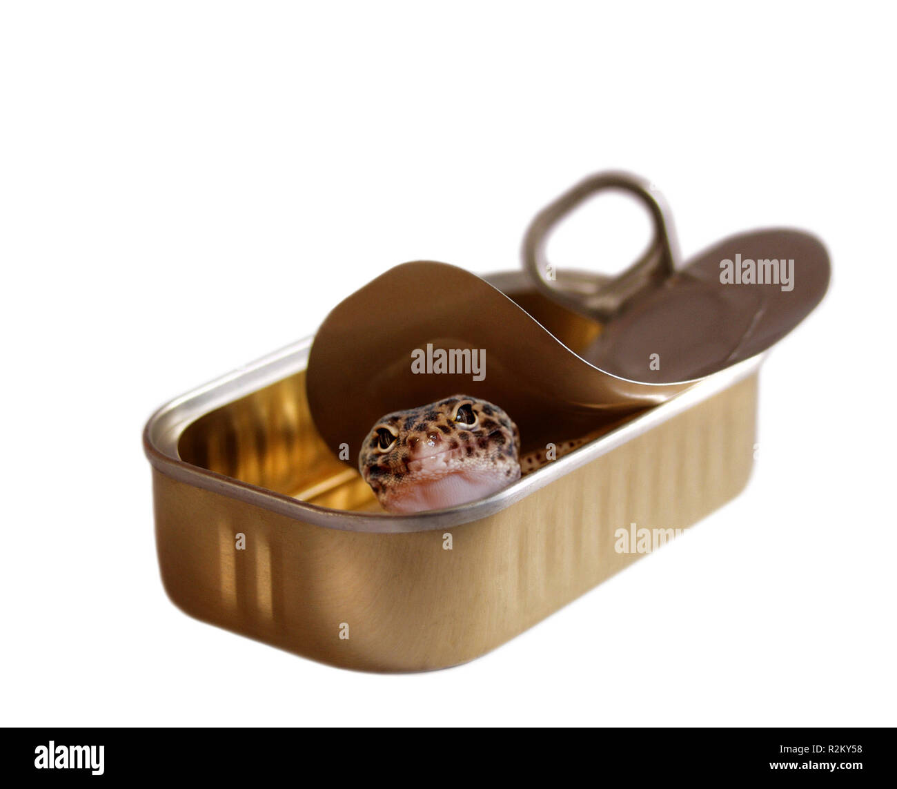 Alloggio ... Foto Stock