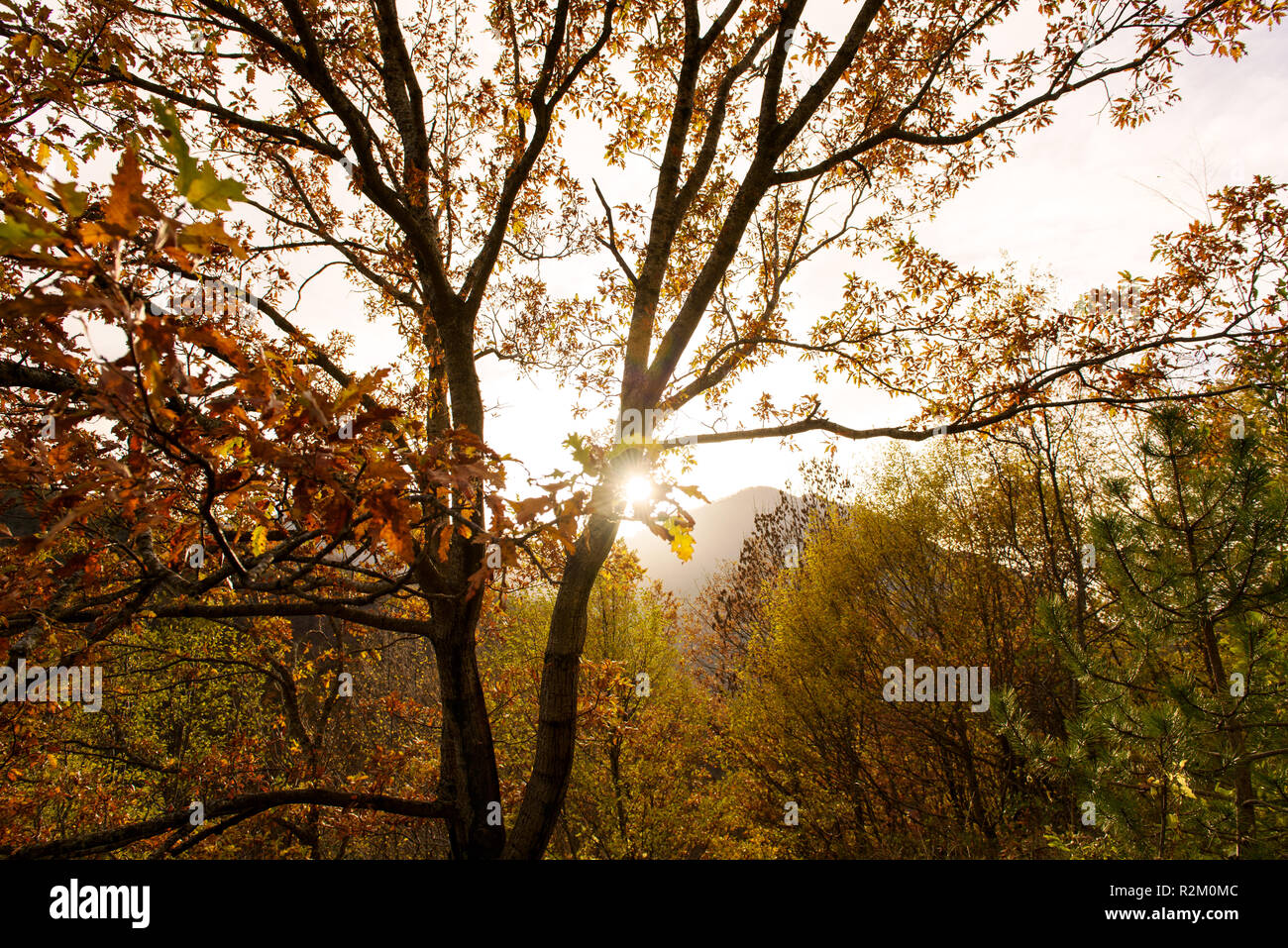 Paesaggio autunnale del Parco Nazionale d'Abruzzo Foto Stock