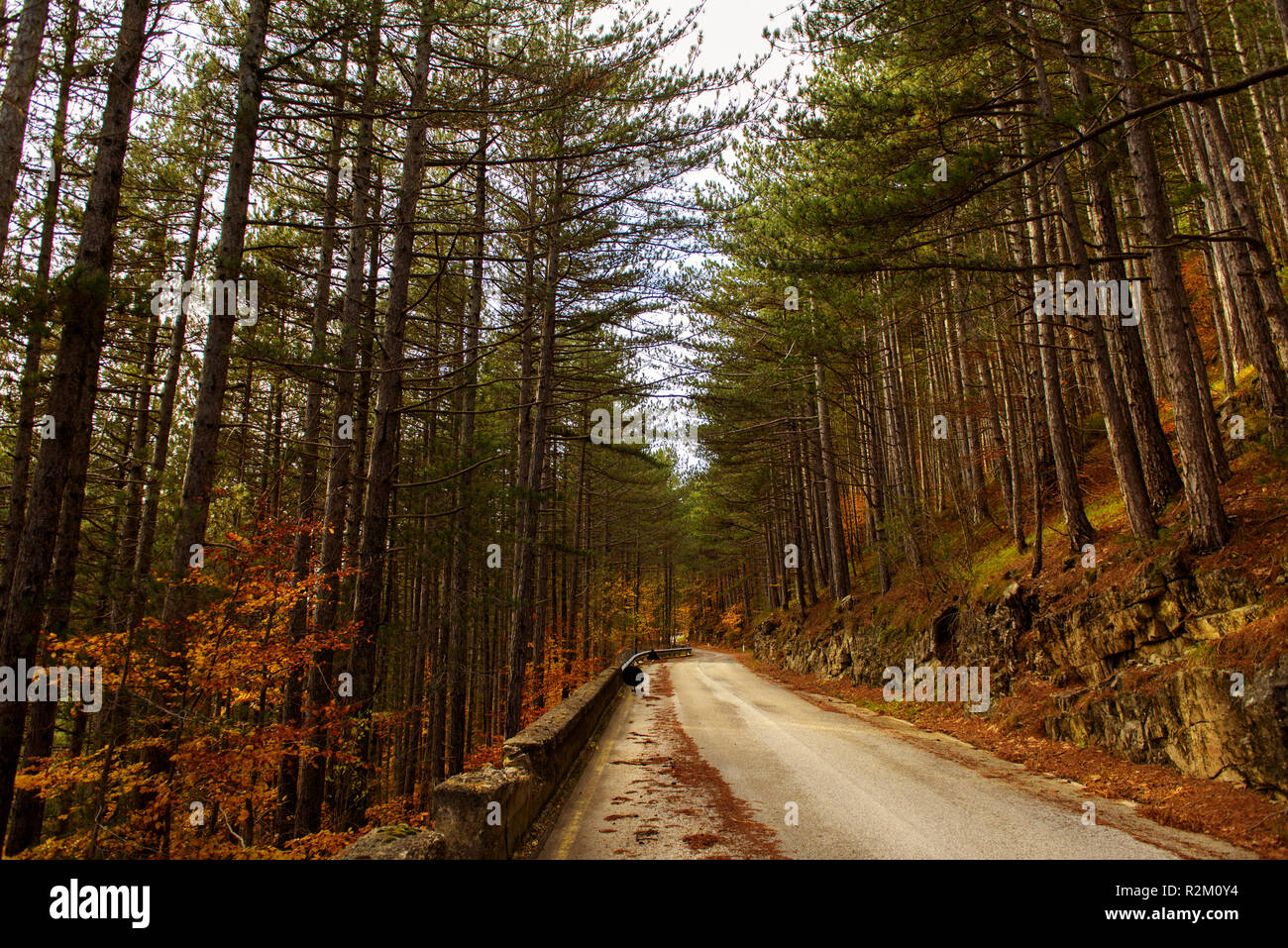 Paesaggio autunnale del Parco Nazionale d'Abruzzo Foto Stock