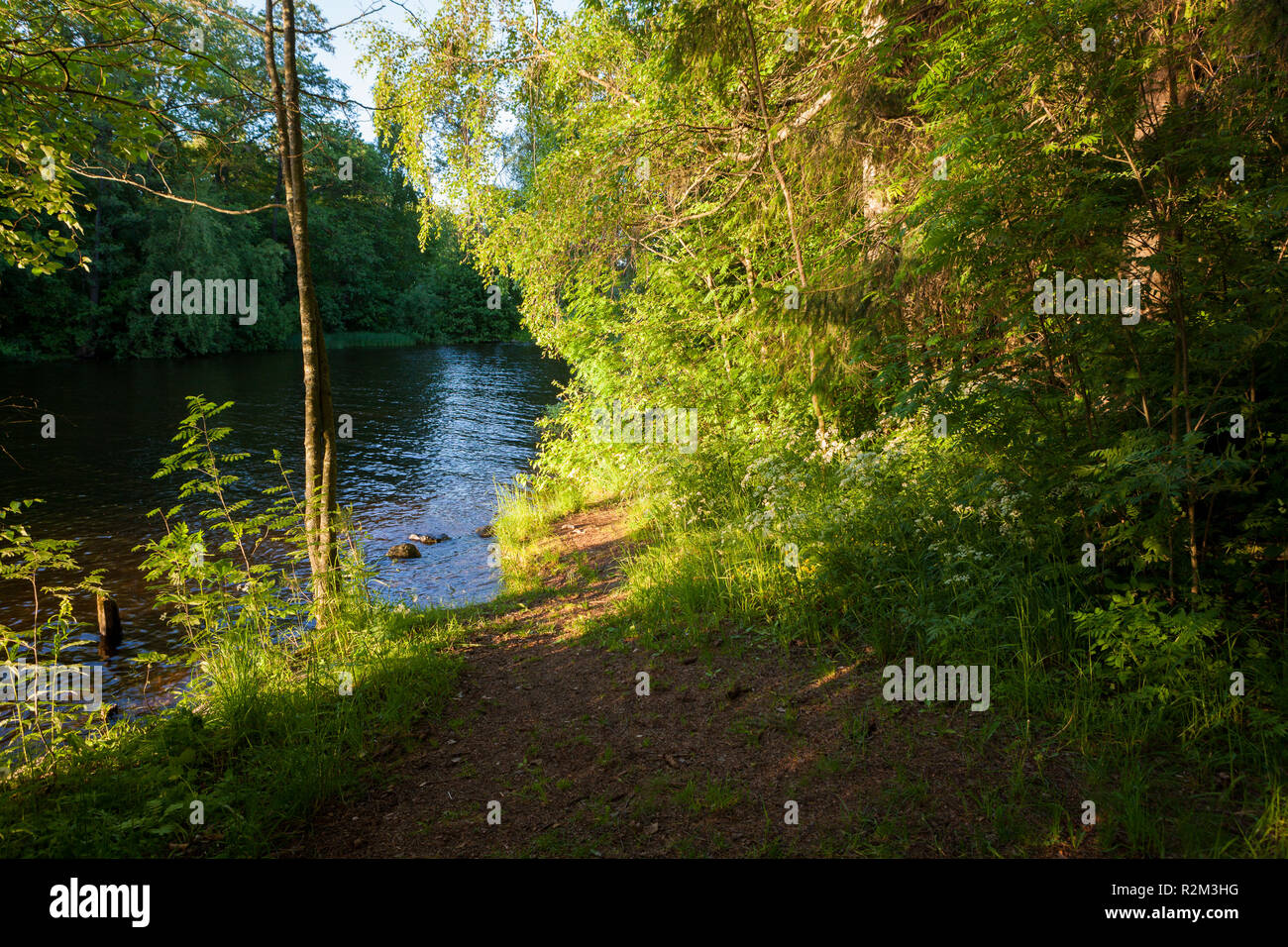 Paesaggio forestale e del lago alla sera d'estate Foto Stock