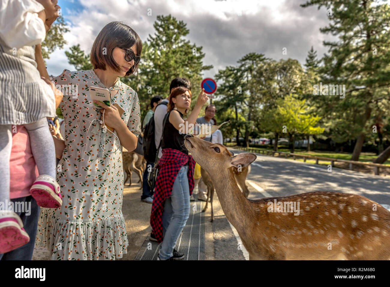 Nara, Giappone - Sep xviii 2018 - un cervo a giocare con una famiglia locale nella città di Nara in Giappone Foto Stock