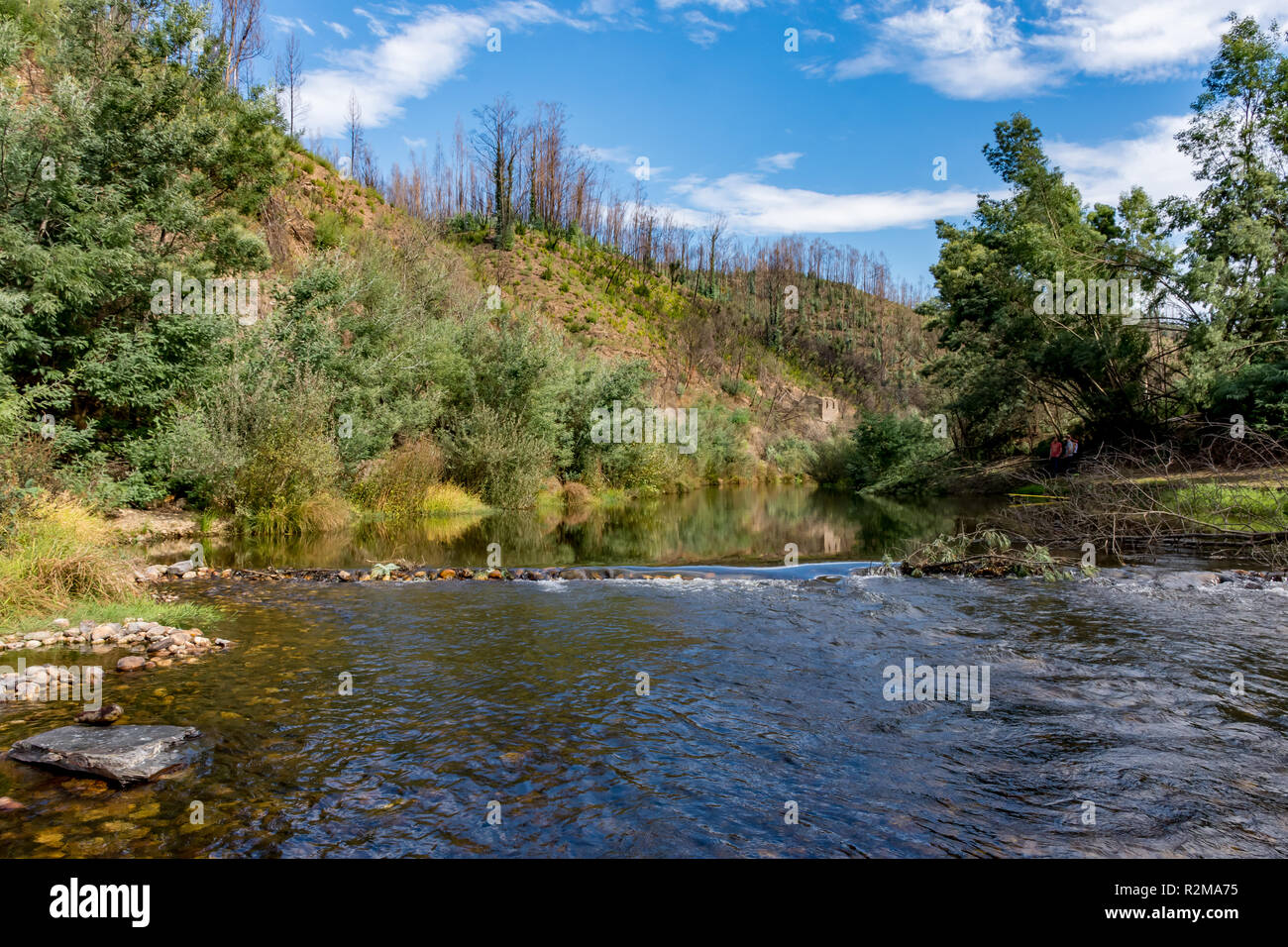 Tomaia affluente del Rio Mondego, Portogallo. Weir pool creato da piccola pietra weir. Banche superiore recuperando da incendio di foresta. Foto Stock