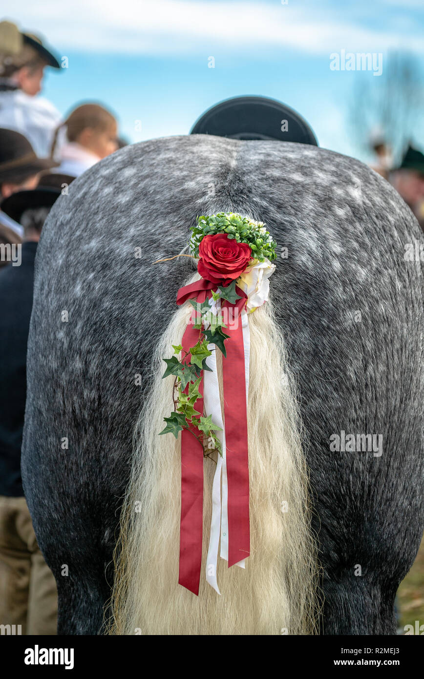 Decorate di coda di cavallo pronto a eseguire al leonhardi parade Foto Stock