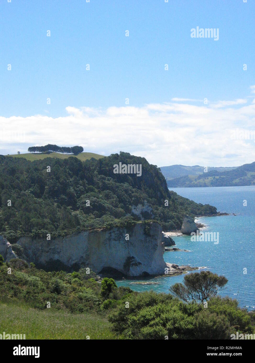 Scogliere in Nuova Zelanda Foto Stock