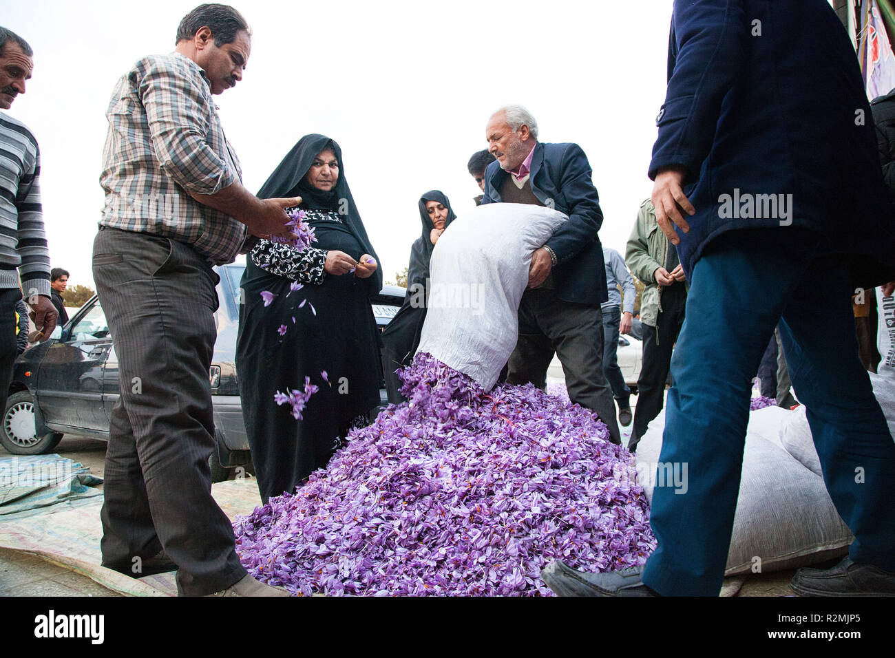 I grossisti nonché privati persone che acquistano lo zafferano fiori al bazaar a Torbat, Foto Stock