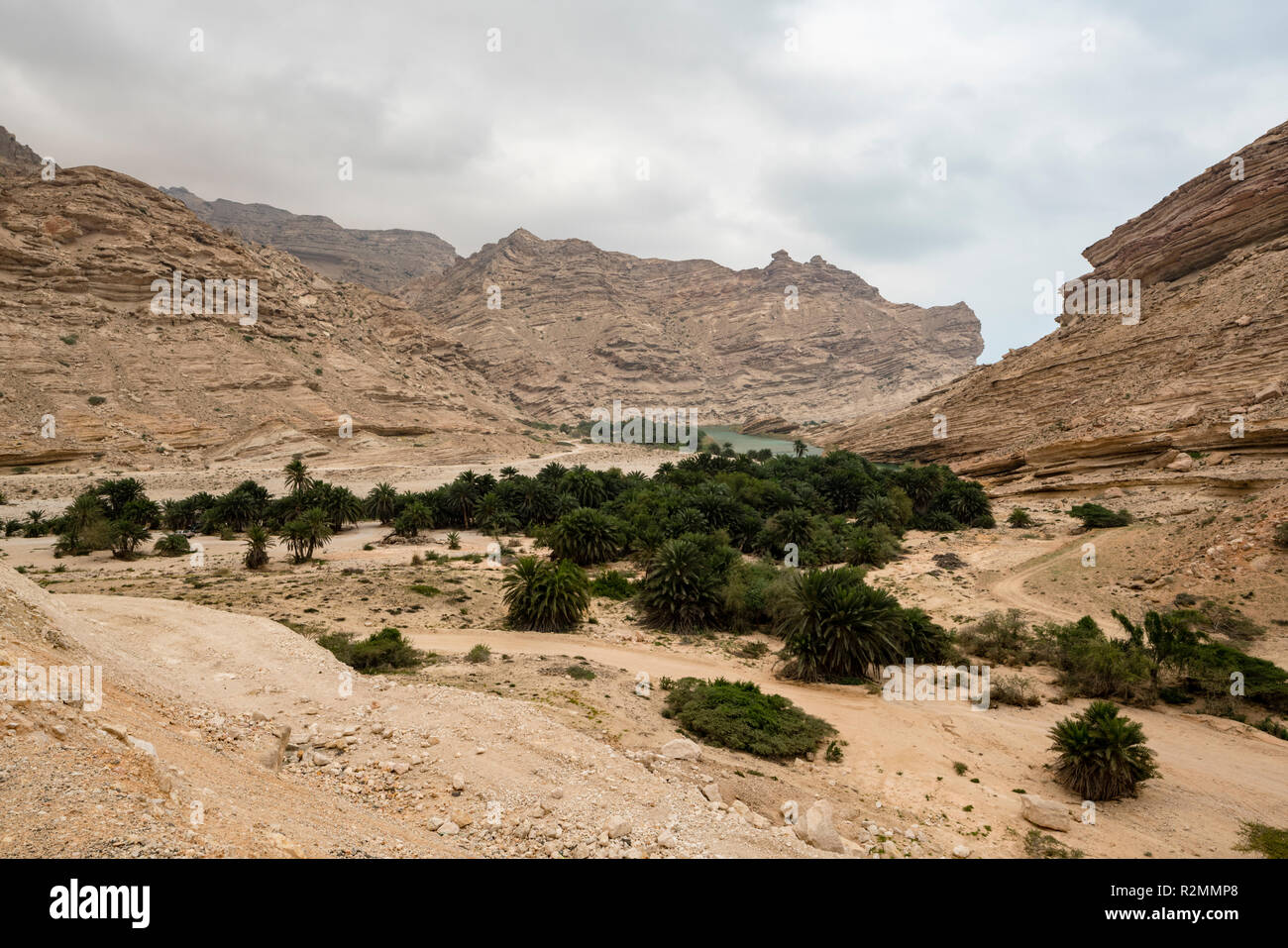 Un telecomando di wadi in Oman nel Dhofar governatorato Foto Stock