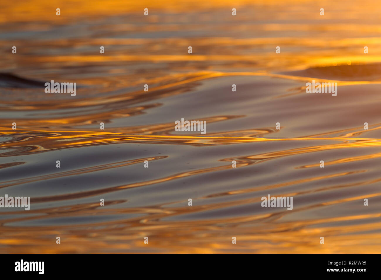 Mare, Gentle Waves in the Golden luce della sera Foto Stock