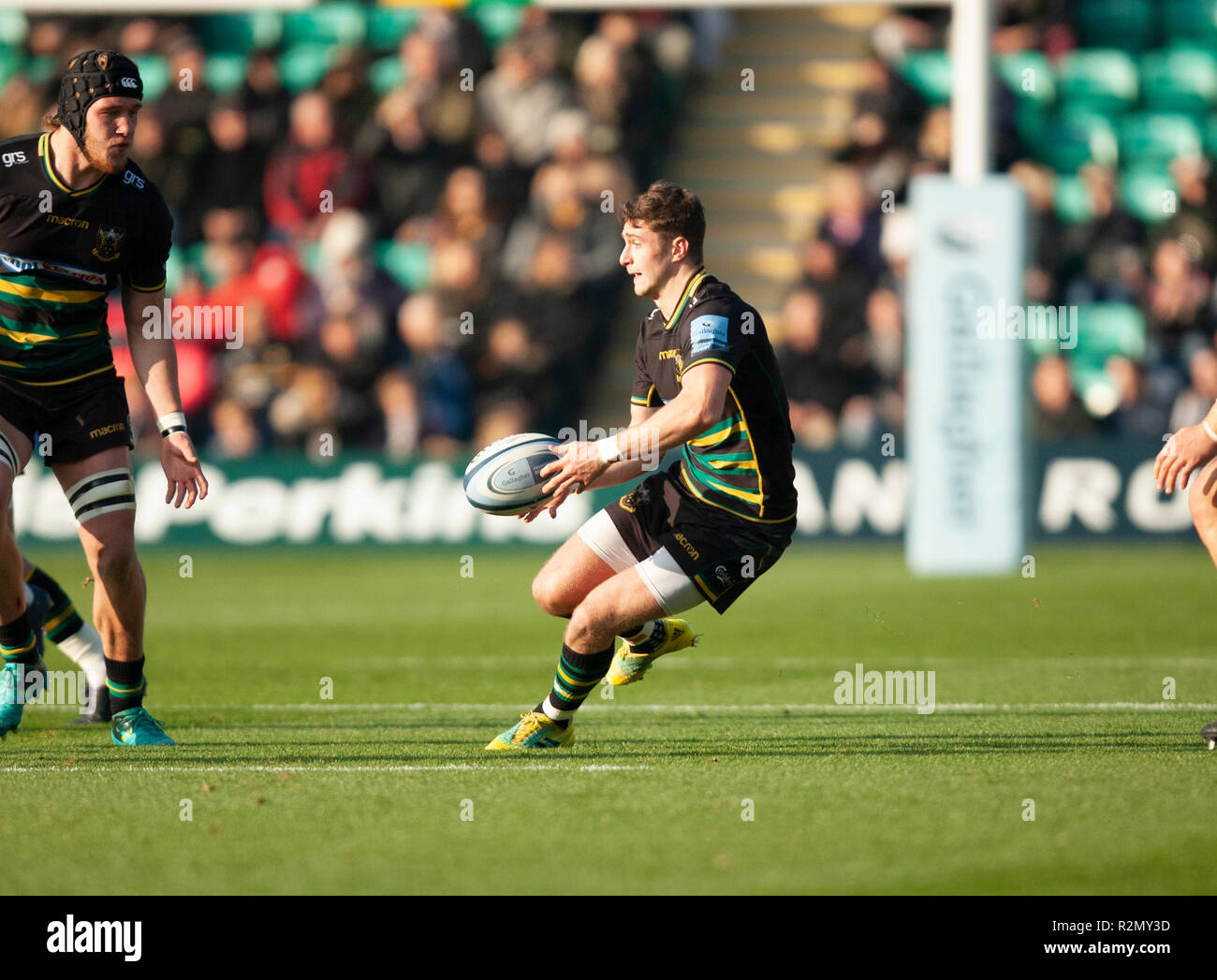 Northampton, Regno Unito. 17 novembre 2018. James Grayson di Northampton santi passa la palla durante la Premiership Gallagher partita di rugby tra Northampton santi e vespe. Andrew Taylor/Alamy Live News Foto Stock