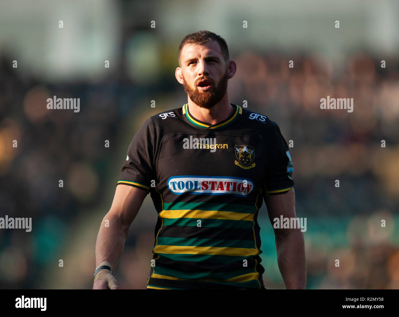 Northampton, Regno Unito. 17 novembre 2018. Tom Wood di Northampton Santi durante la Premiership Gallagher partita di rugby tra Northampton santi e vespe. Andrew Taylor/Alamy Live News Foto Stock