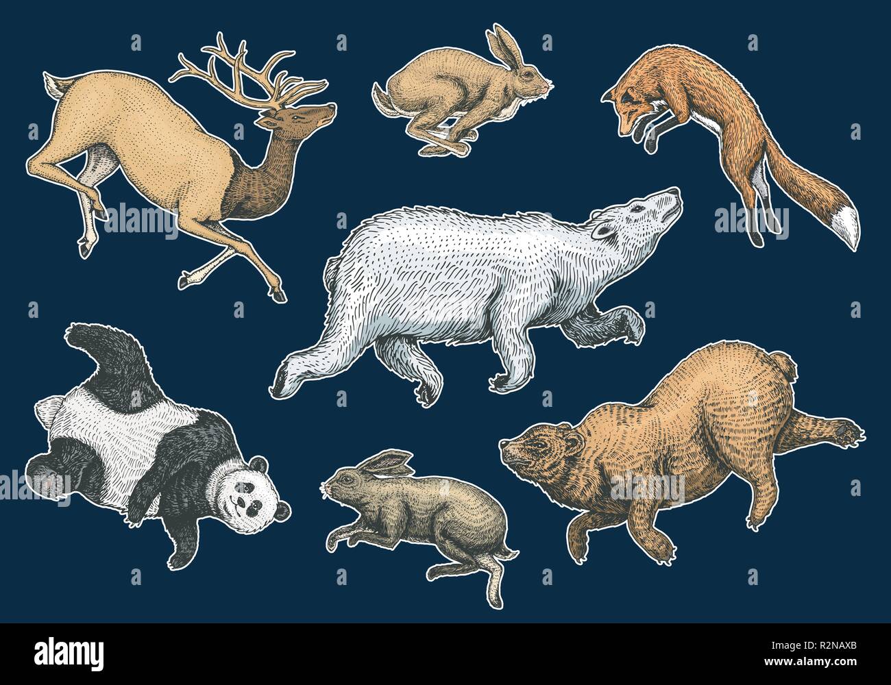 Soaring Red Fox coniglio lepre northern orso marrone cervo. Set di bosco selvatico animale il salto. In stile vintage. Mano inciso bozzetto. Illustrazione Vettoriale