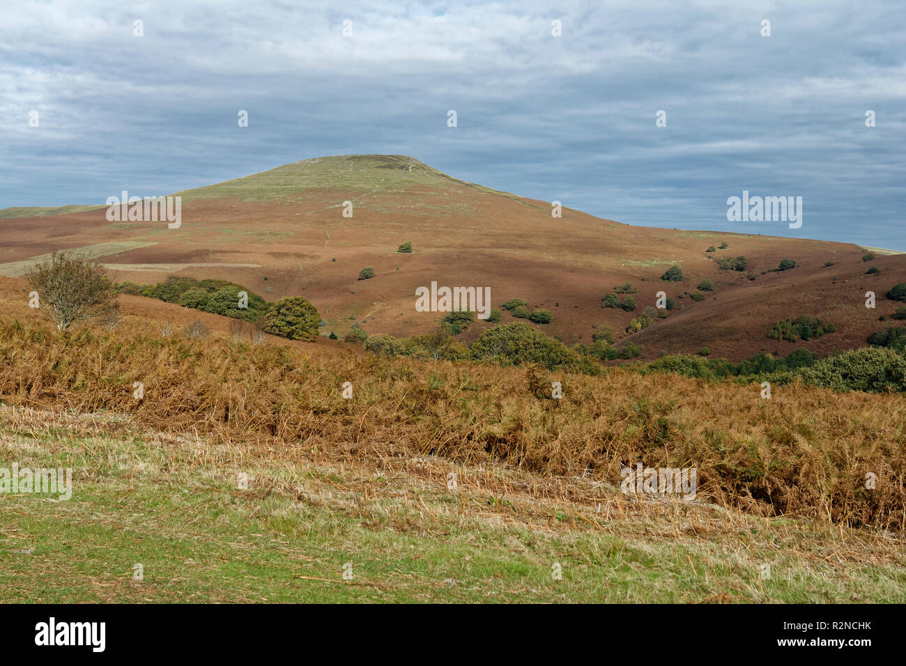 Il Pan di Zucchero (596M), Abergavenny Montagna Nera valore erratico visto da sud Monmouthshire, Galles Foto Stock