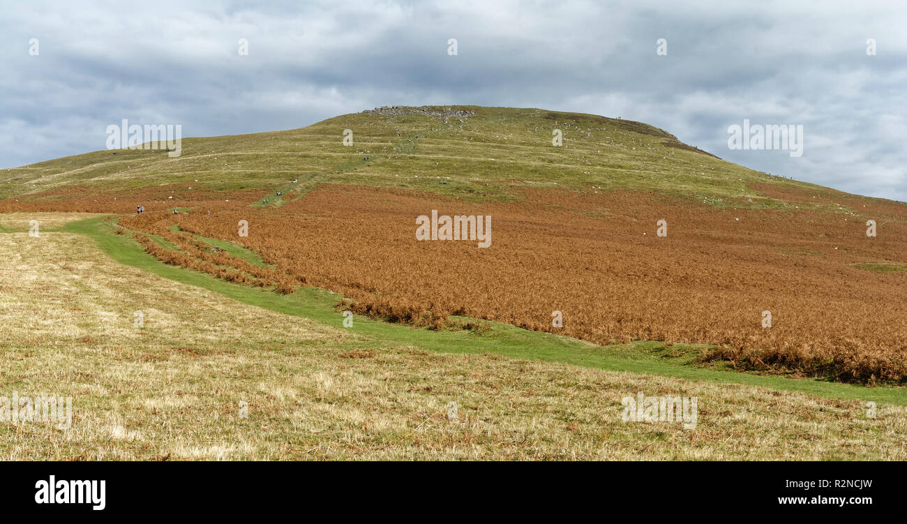 Il Pan di Zucchero (596M), Abergavenny Montagna Nera valore erratico visto da sud ovest Monmouthshire, Galles Foto Stock