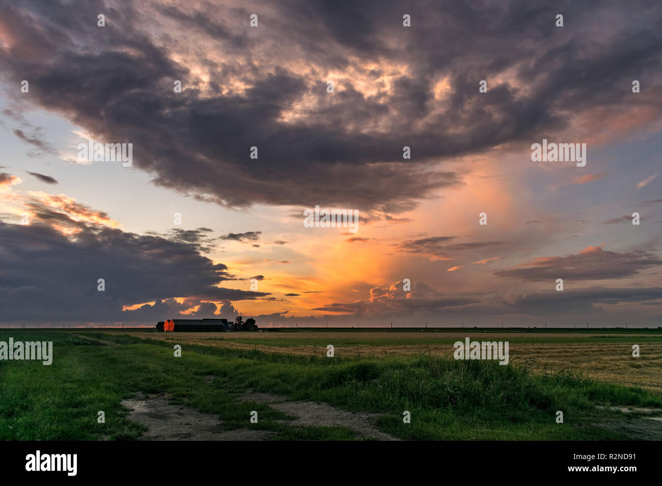 Una fattoria e distante tempeste in Olanda sono illuminate dalla luce del sole al tramonto. Questo è l'ampio paesaggio aperto nel cuore verde dell'Olanda. Foto Stock