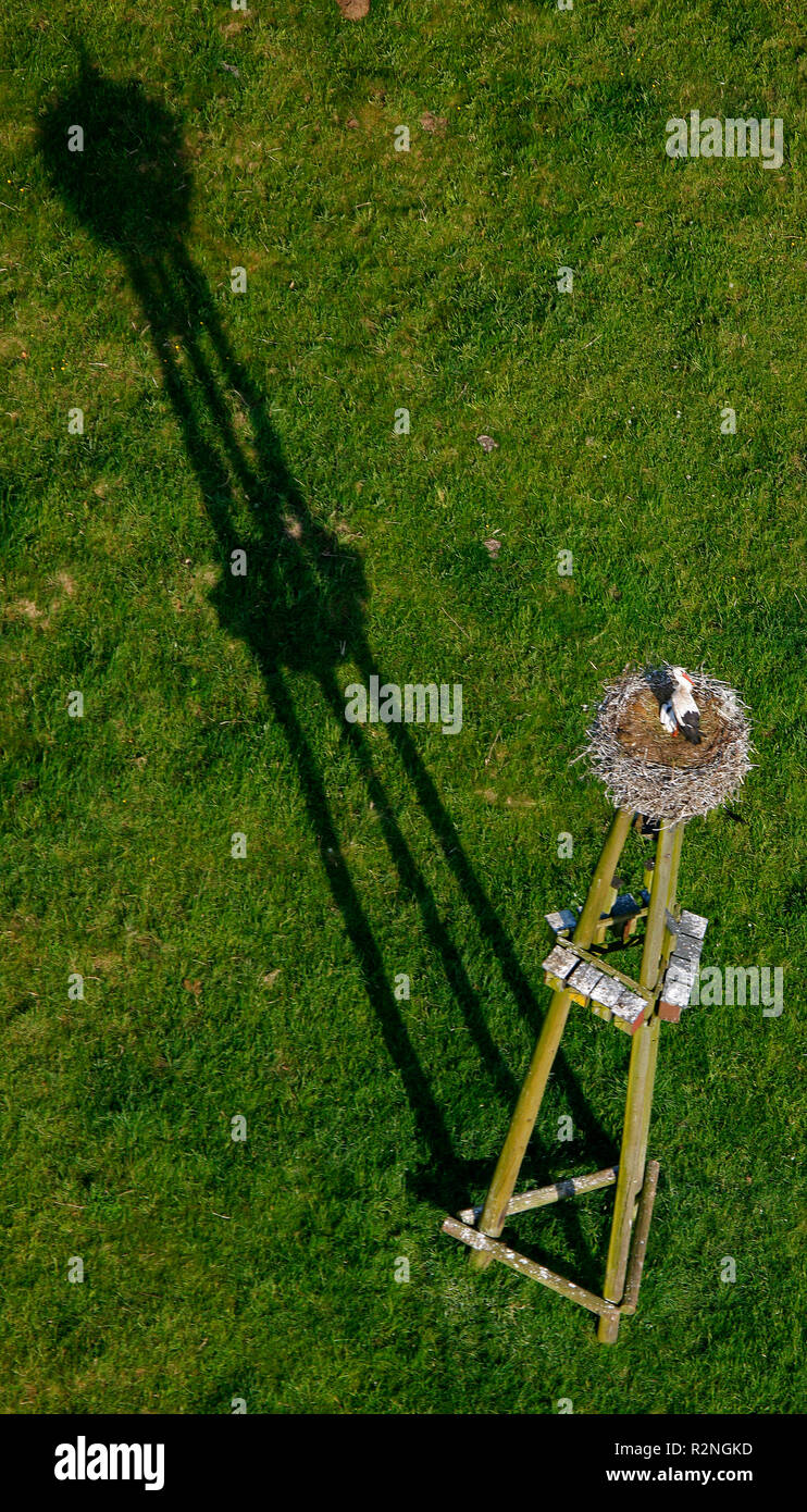 Vista aerea, le cicogne allevamento, Dorsten, la zona della Ruhr, Renania settentrionale-Vestfalia, Germania, Europa Foto Stock