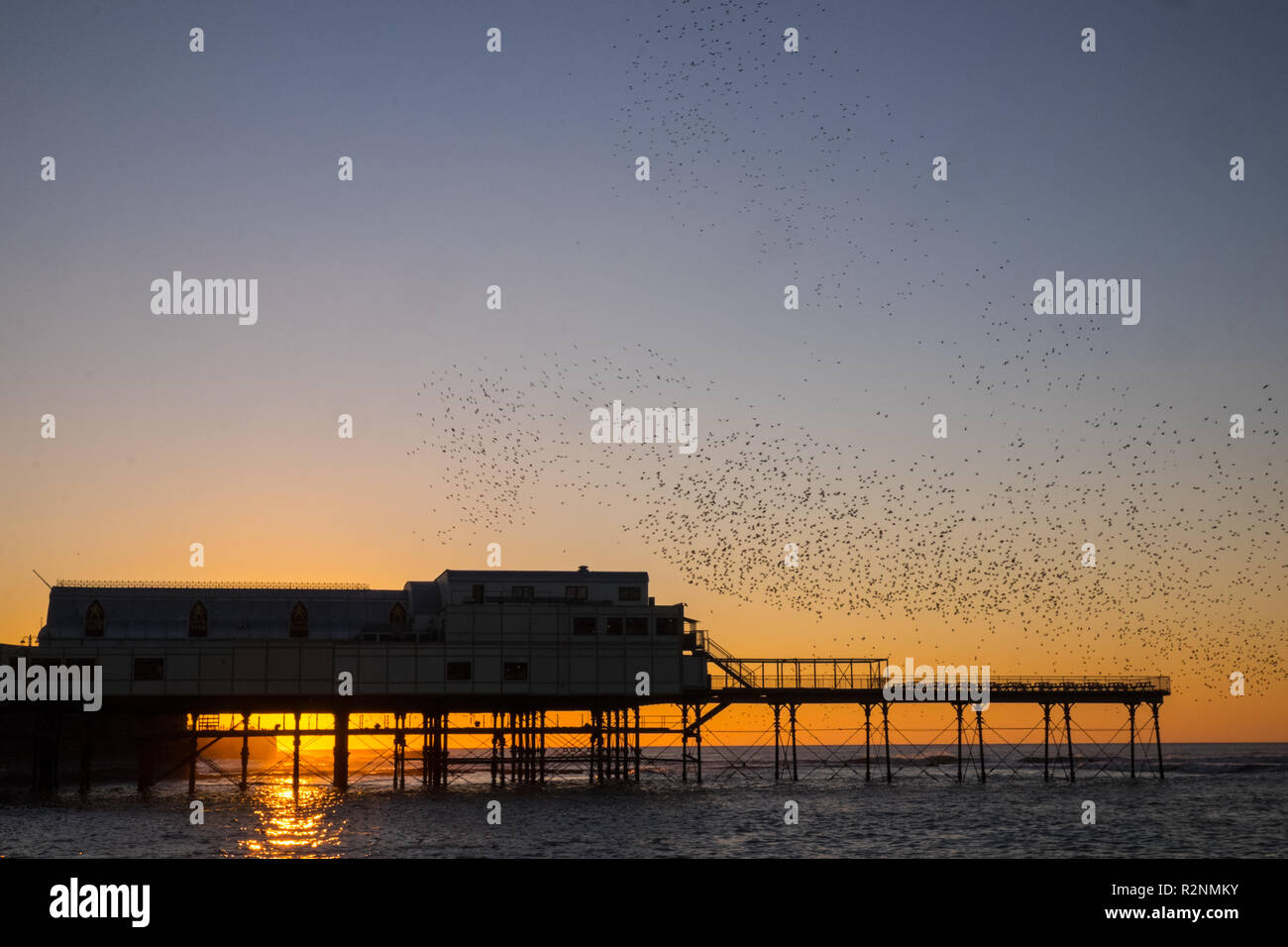 Dopo un glorioso sunny blue sky giorno Aberystwyth è stata trattata per un tramonto mozzafiato con storni murmuration,e,quindi,sono ' appollaiati,a,sotto,Royal Pier, Foto Stock