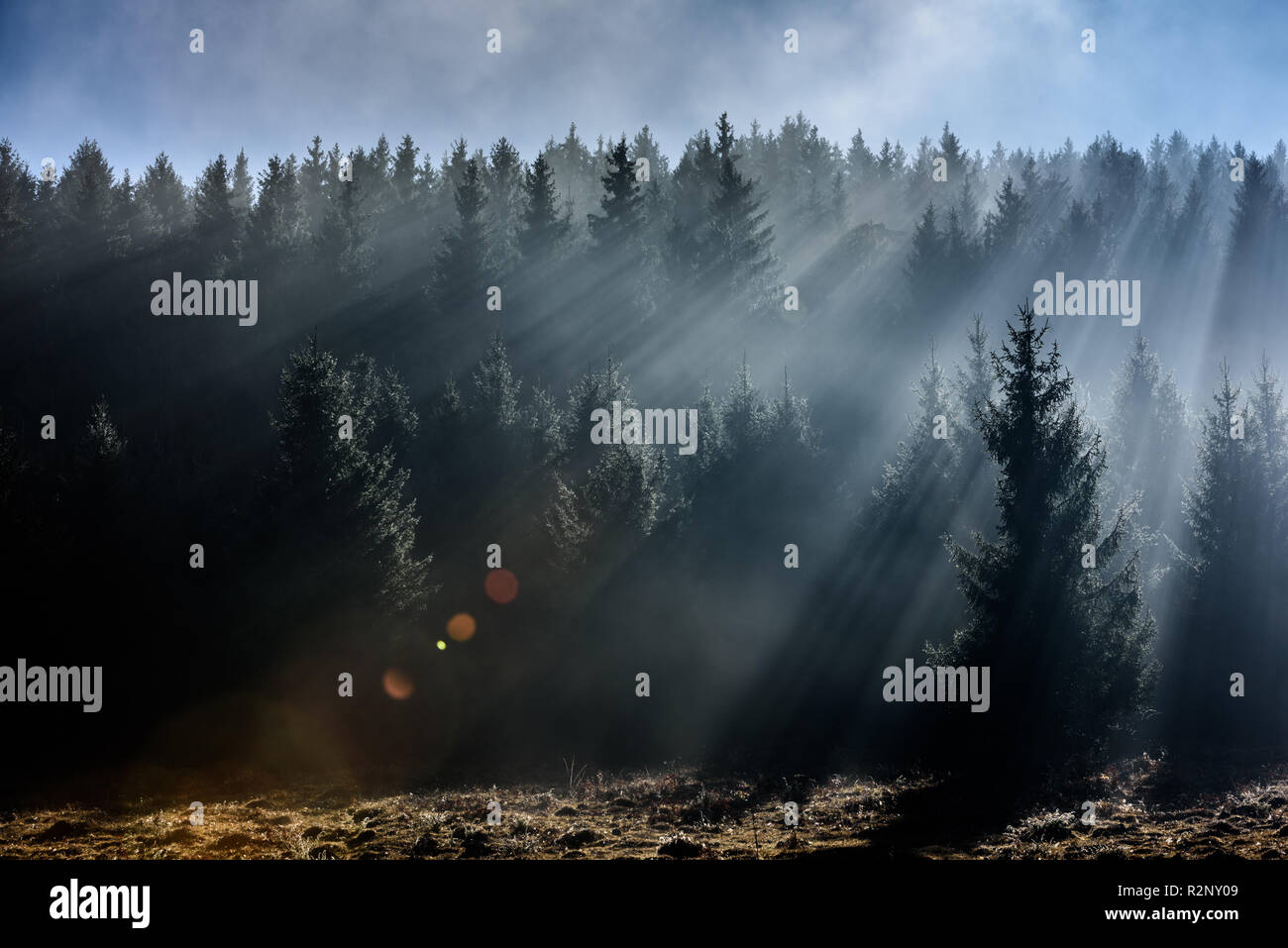 Nebbia diviso dai raggi del sole. Foschia mattutina vista in umido zona di montagna. Foto Stock