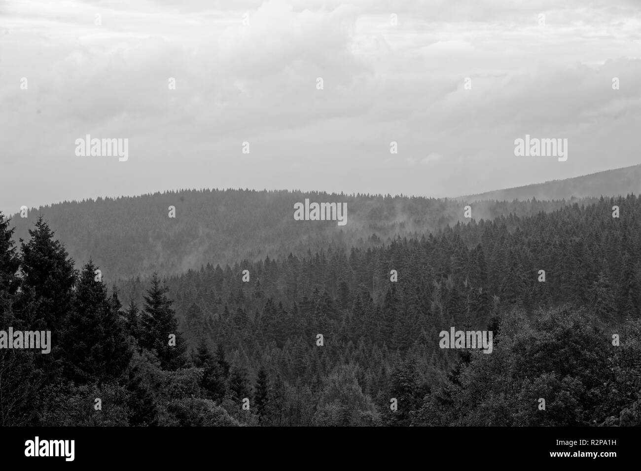 Brumoso paesaggio in Brocken,Harz,Germania.Brocken im Nebel und Regen,Harz. Foto Stock