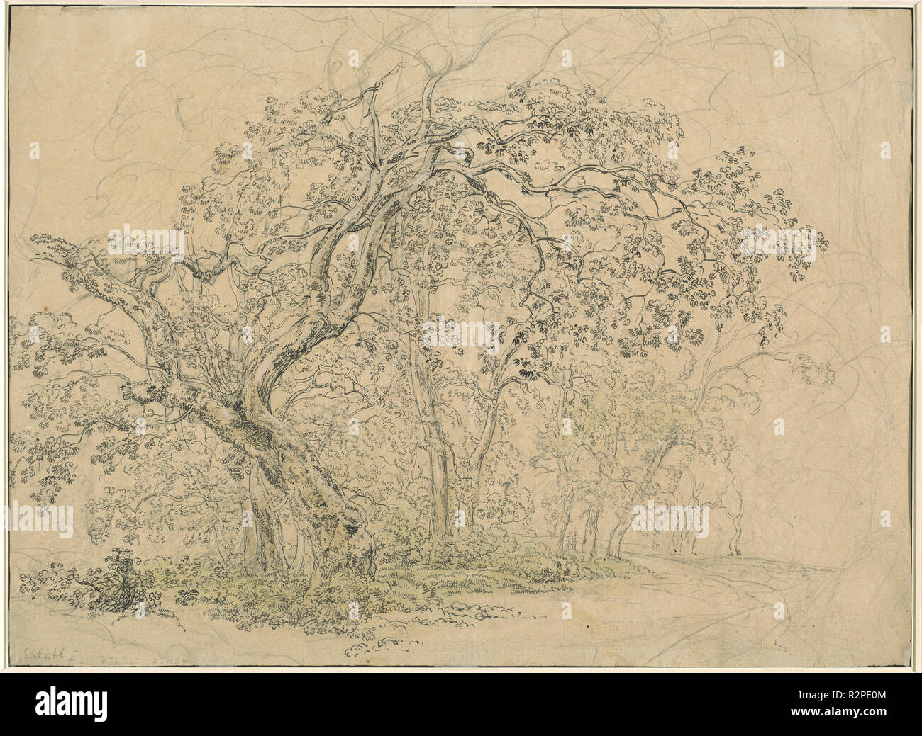 Boschetto di alberi [tergo]. Data: c. 1835. Medium: Penna e inchiostro nero su Grafite su carta intessuta. Museo: National Gallery of Art di Washington DC. Autore: Friedrich Salathé. Foto Stock