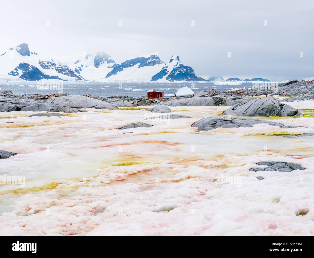 Rifugio navale Groussac su Petermann Island e le montagne della penisola di Kiev sulla penisola Antartica, Antartide Foto Stock