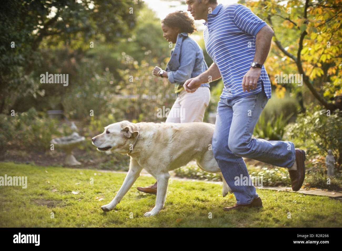 Coppia giovane che costeggia il loro cane nel loro back yard. Foto Stock