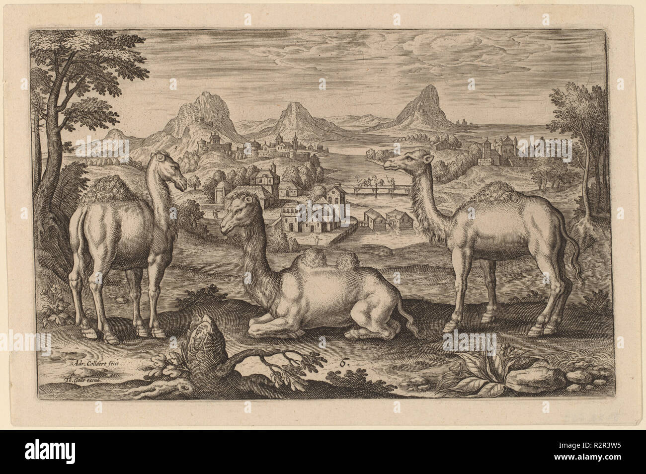 Animalium Quadrupedum. Medium: incisione. Museo: National Gallery of Art di Washington DC. Autore: Adriaen Collaert. Foto Stock