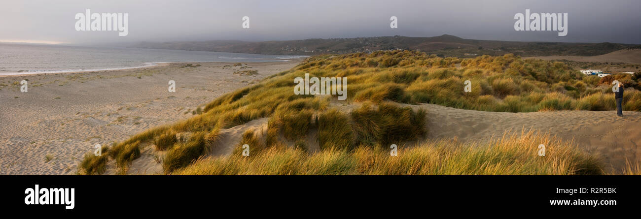 Grassy dune di sabbia su una spiaggia remota. Foto Stock