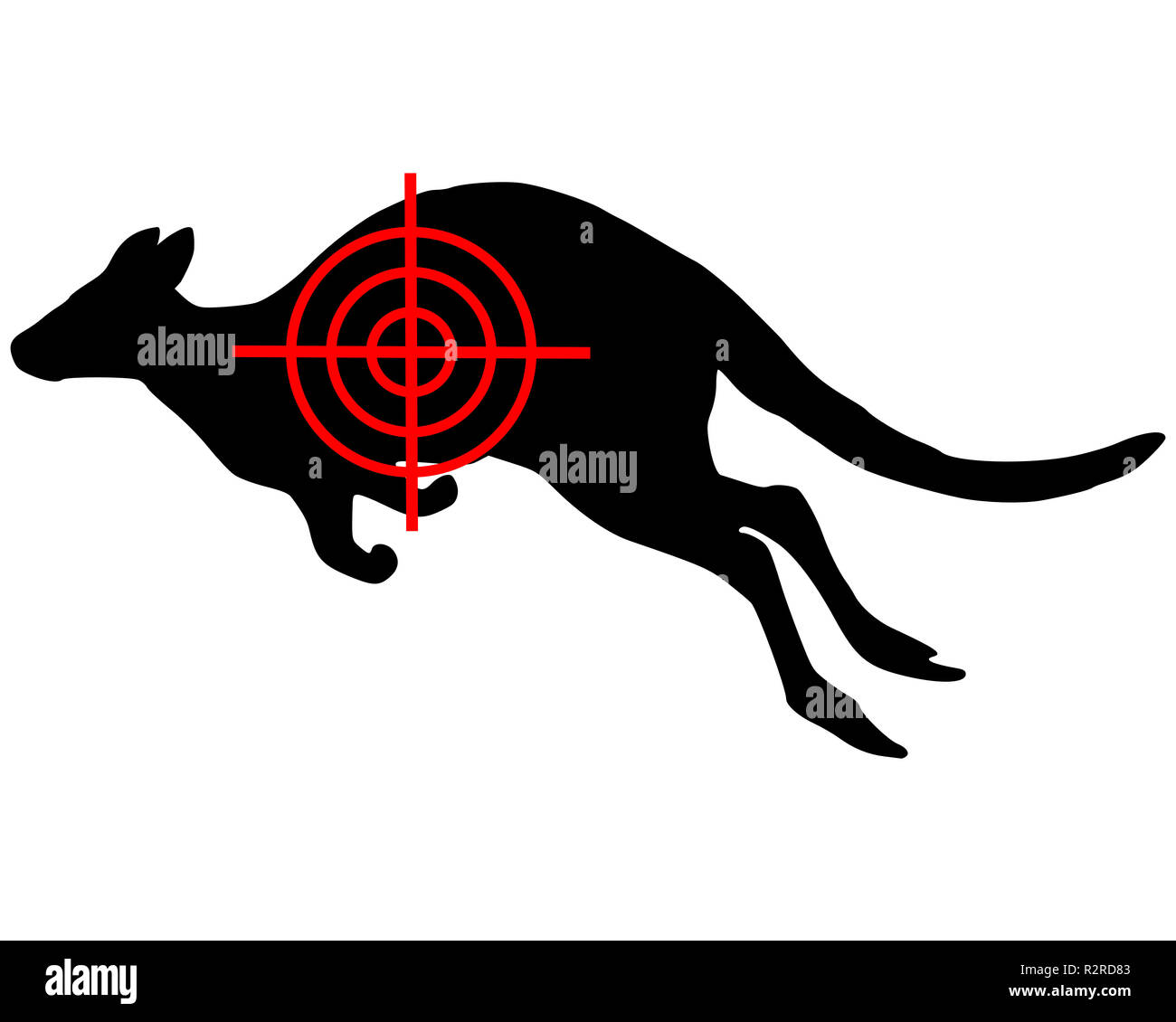 Il kangaroo di mirino Foto Stock
