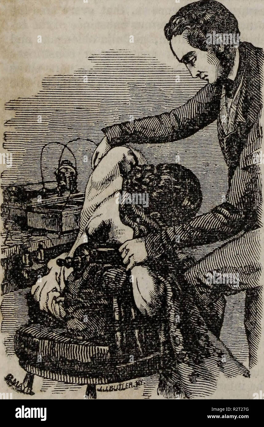 "Dissettore New-York : Rivista trimestrale di medicina e chirurgia, magnetismo, mesmerism e collaterale scienze con i misteri e la falsità della facoltà" (1845) Foto Stock