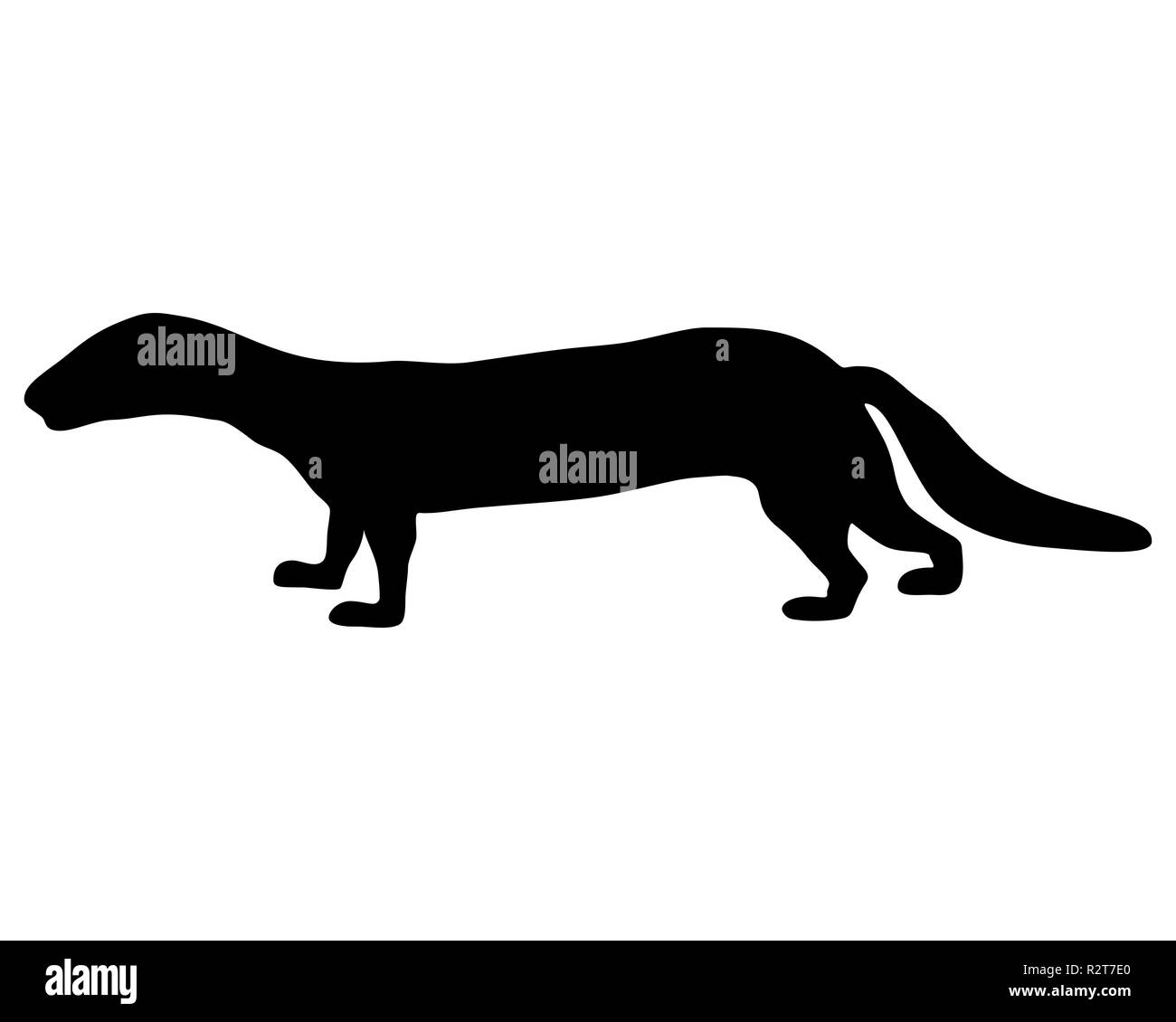 Silhouette polecat Foto Stock