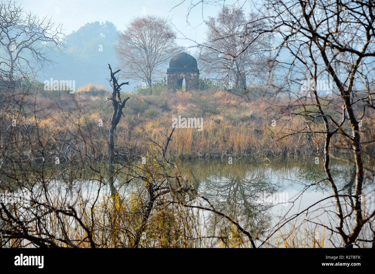 Il pittoresco fiume scena, il Parco nazionale di Ranthambore, Rajasthan in India. Le antiche rovine si riflette nel flusso, giungla paesaggio. Foto Stock