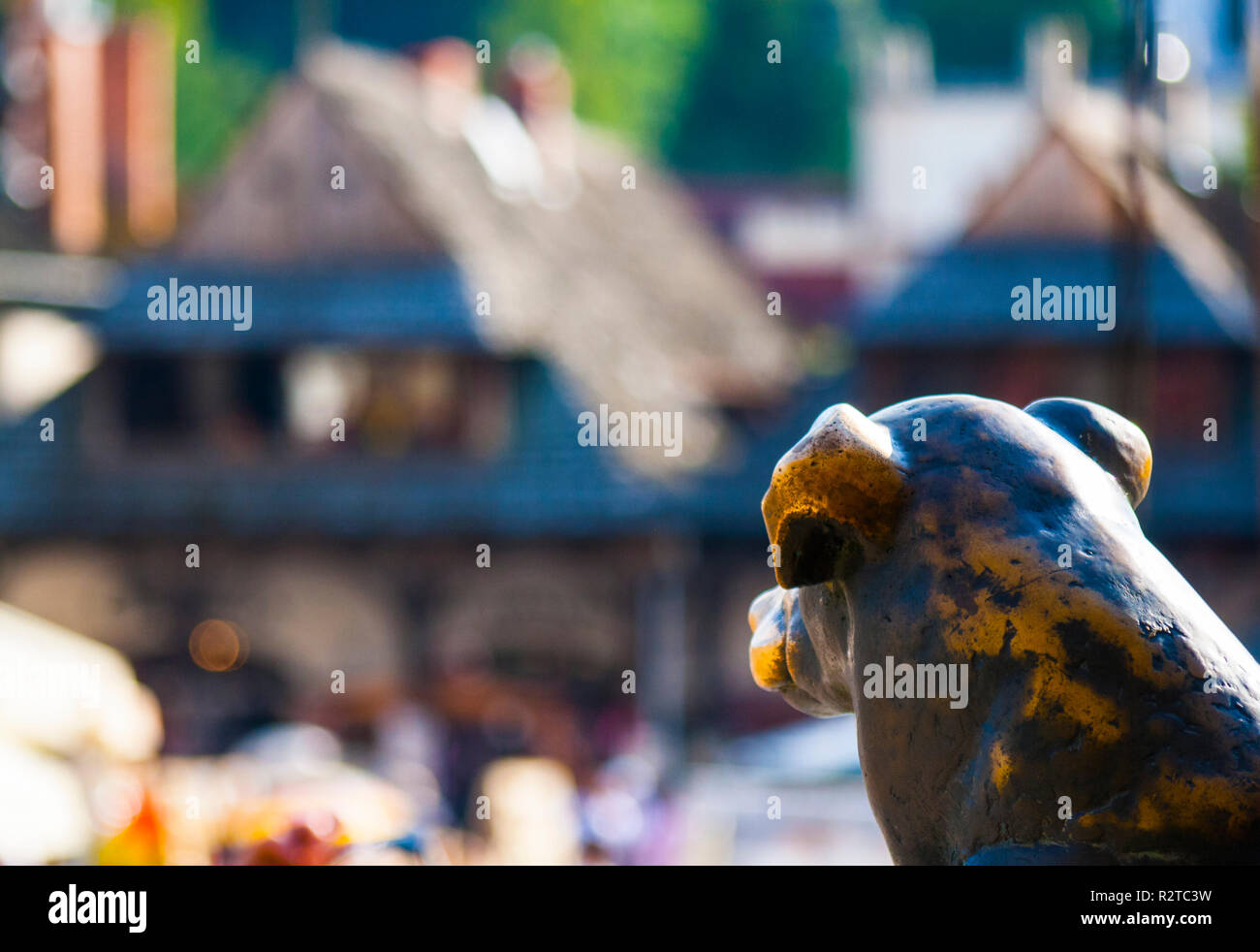 Kazimierz Dolny sul fiume Vistola, Polonia, agosto 2018: statua in bronzo del cane è guardare la piazza del mercato Foto Stock