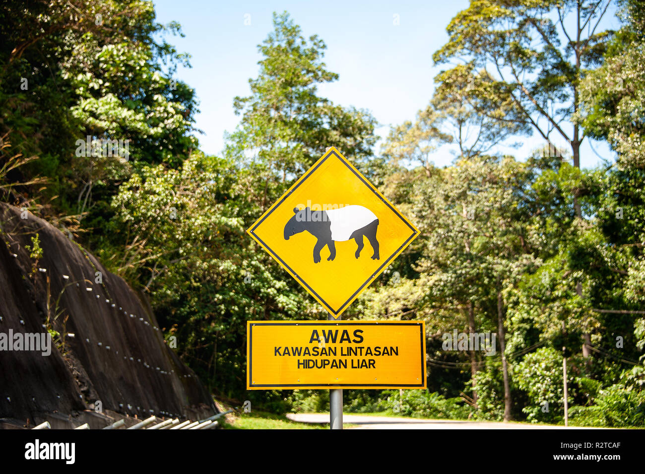 Malaysian tapiro (Tapirus indicus) segnale di avvertimento sulla strada per il Monte Angsi, Seremban, Malaysia. Cartello giallo dicendo 'via area - wildlife' in un verde f Foto Stock