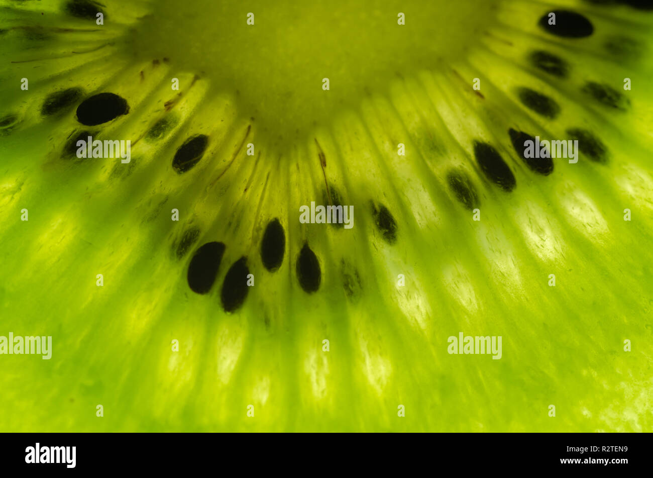 Fetta di kiwi close up sfondo.Copia spazi, Foto Stock