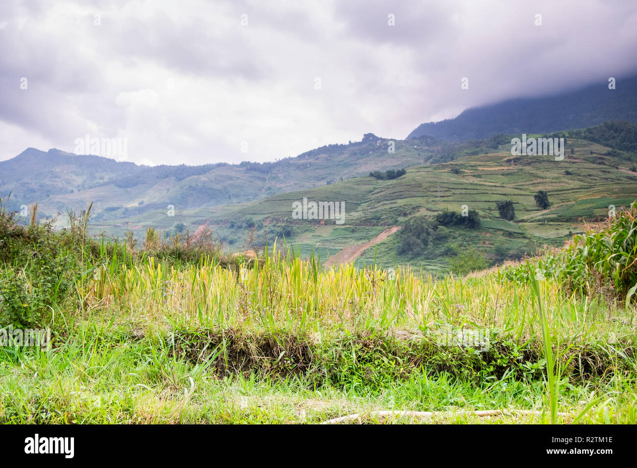 Vista aerea di Sapa, Vietnam. Sapa è uno dei must visita luoghi nel nord del Vietnam con il suo tempo fresco e le belle scene Foto Stock