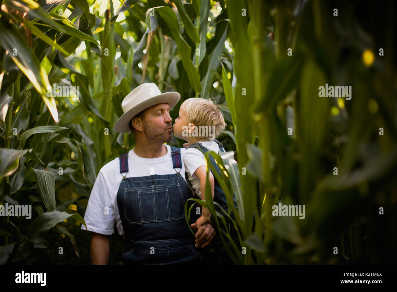 Un agricoltore e il suo giovane figlio in un campo di mais. Foto Stock