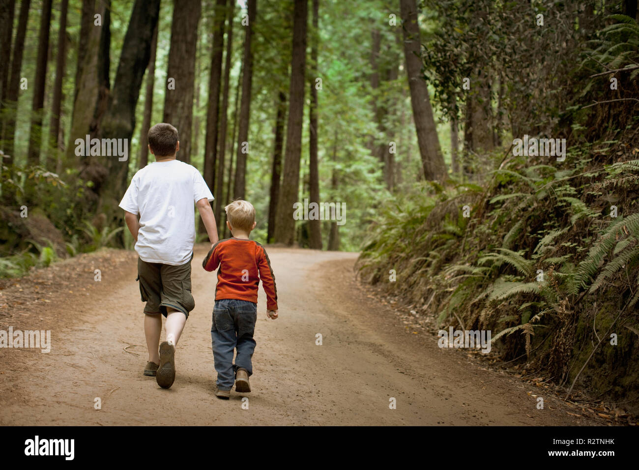 Due fratelli camminando mano nella mano attraverso una foresta. Foto Stock