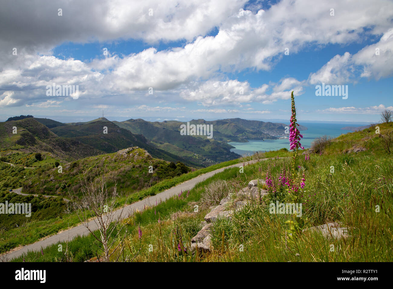 La vista panoramica di Lyttelton Harbour dal picco Cass, colline porta di Christchurch Foto Stock