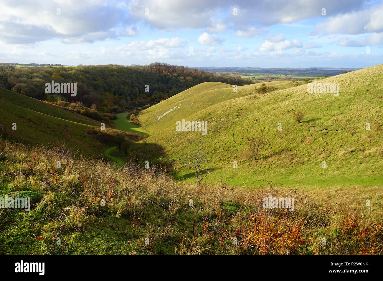 Una vista verso il basso il coombe a Barton colline nella Riserva Naturale del Bedfordshire Foto Stock