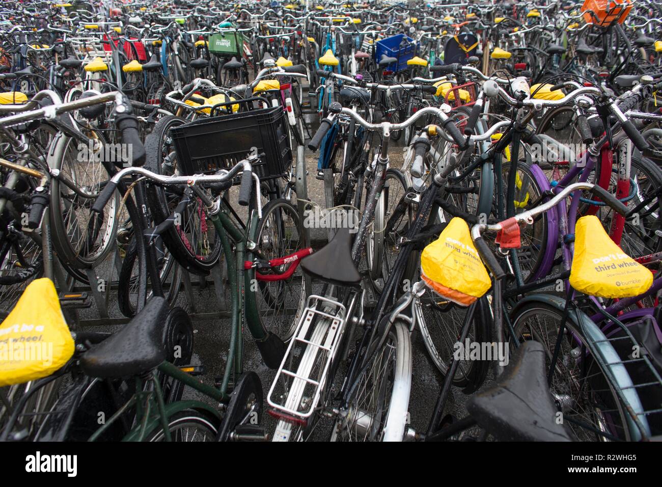 Il parcheggio per le bici nei pressi di Amsterdam Stazione Centrale Foto Stock