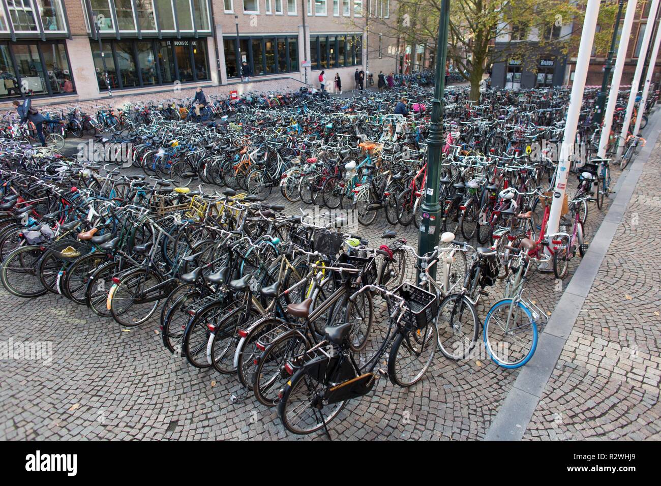 Il parcheggio per le bici all Università di Groningen Foto Stock
