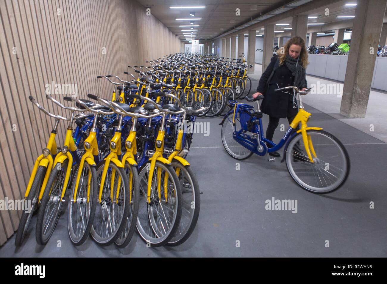 Il parcheggio per le bici garage Stazione Centrale di Utrecht. Il più grande parcheggio bici nel mondo (per 12.500 biciclette). Foto Stock
