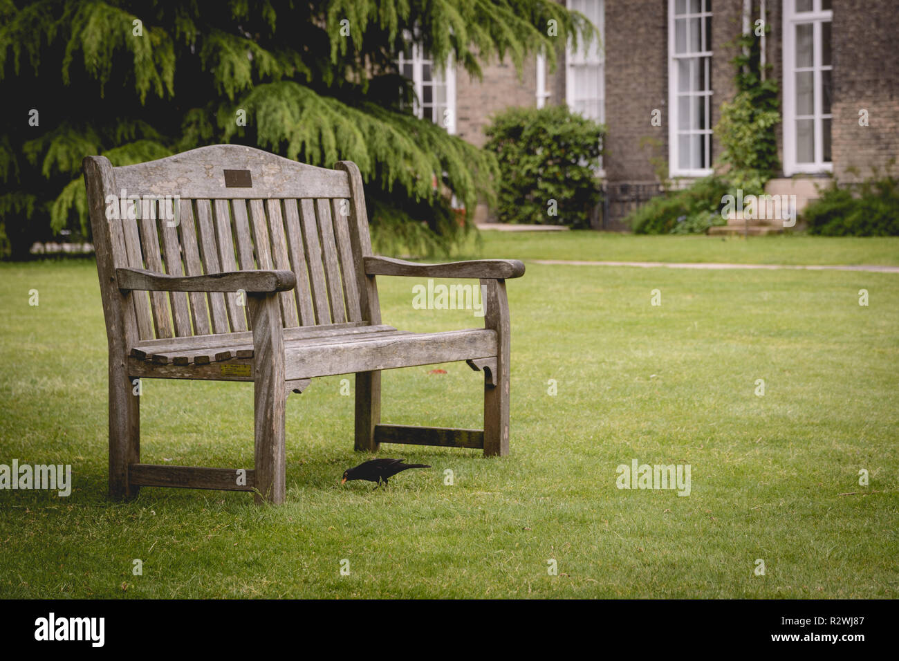 Cambridge, Regno Unito - Febbraio, 2019. Banchi vuoti nel giardino del Downing College, un costituente college della University of Cambridge. Foto Stock