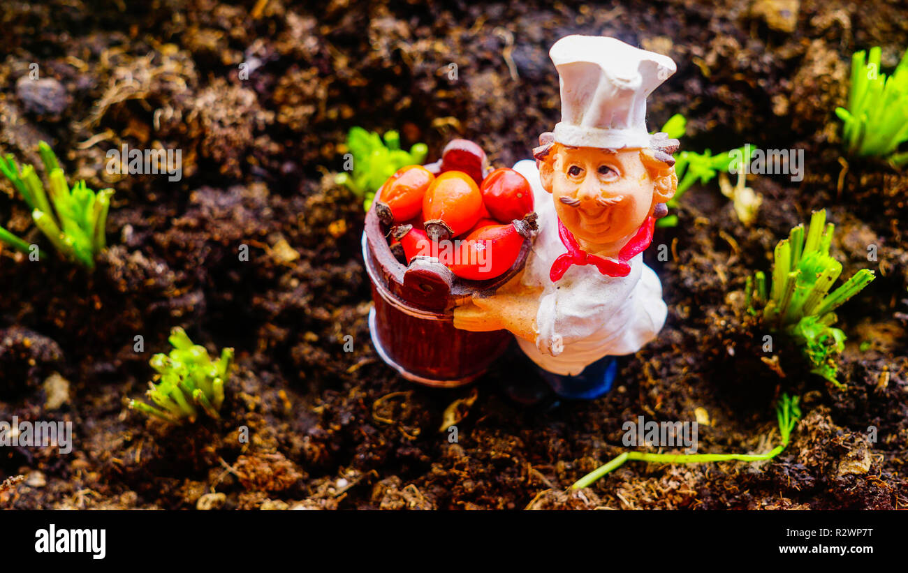 Un chef in miniatura nel campo con cinorrodi. Foto Stock